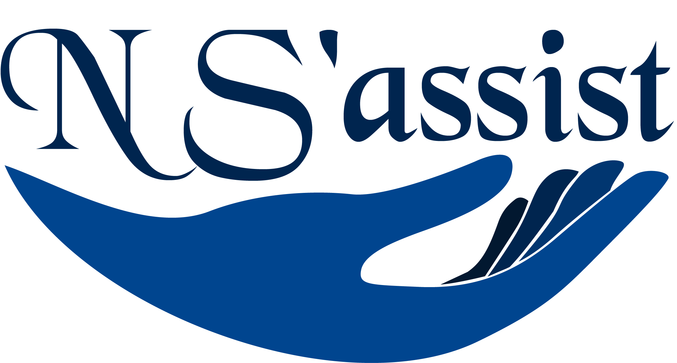 Logo de NS'assist